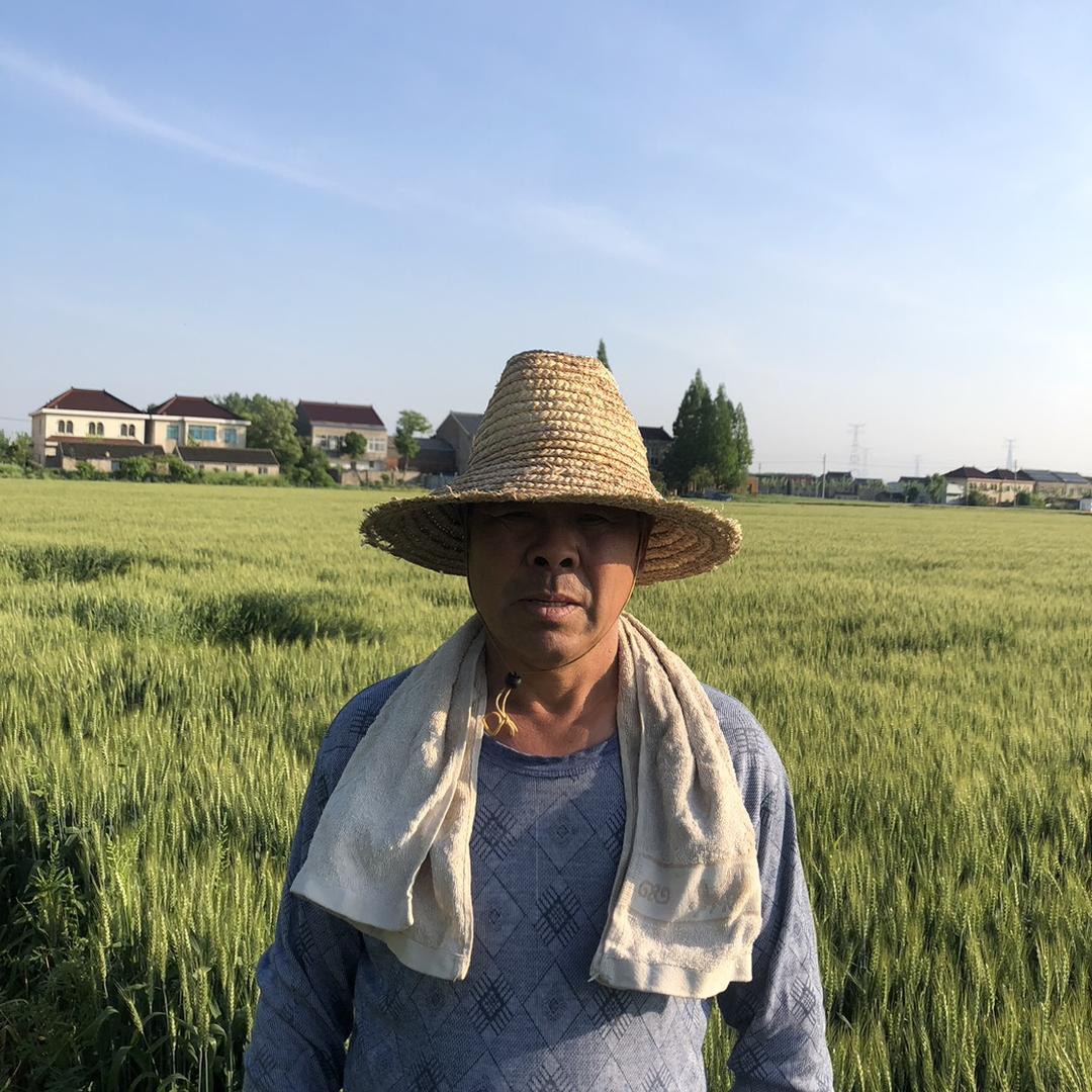 老农. 农