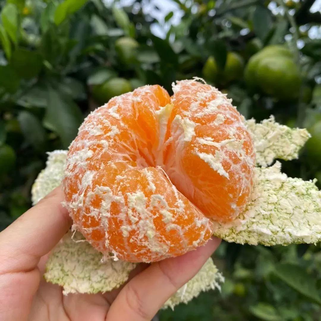 鲜果老王应季水果