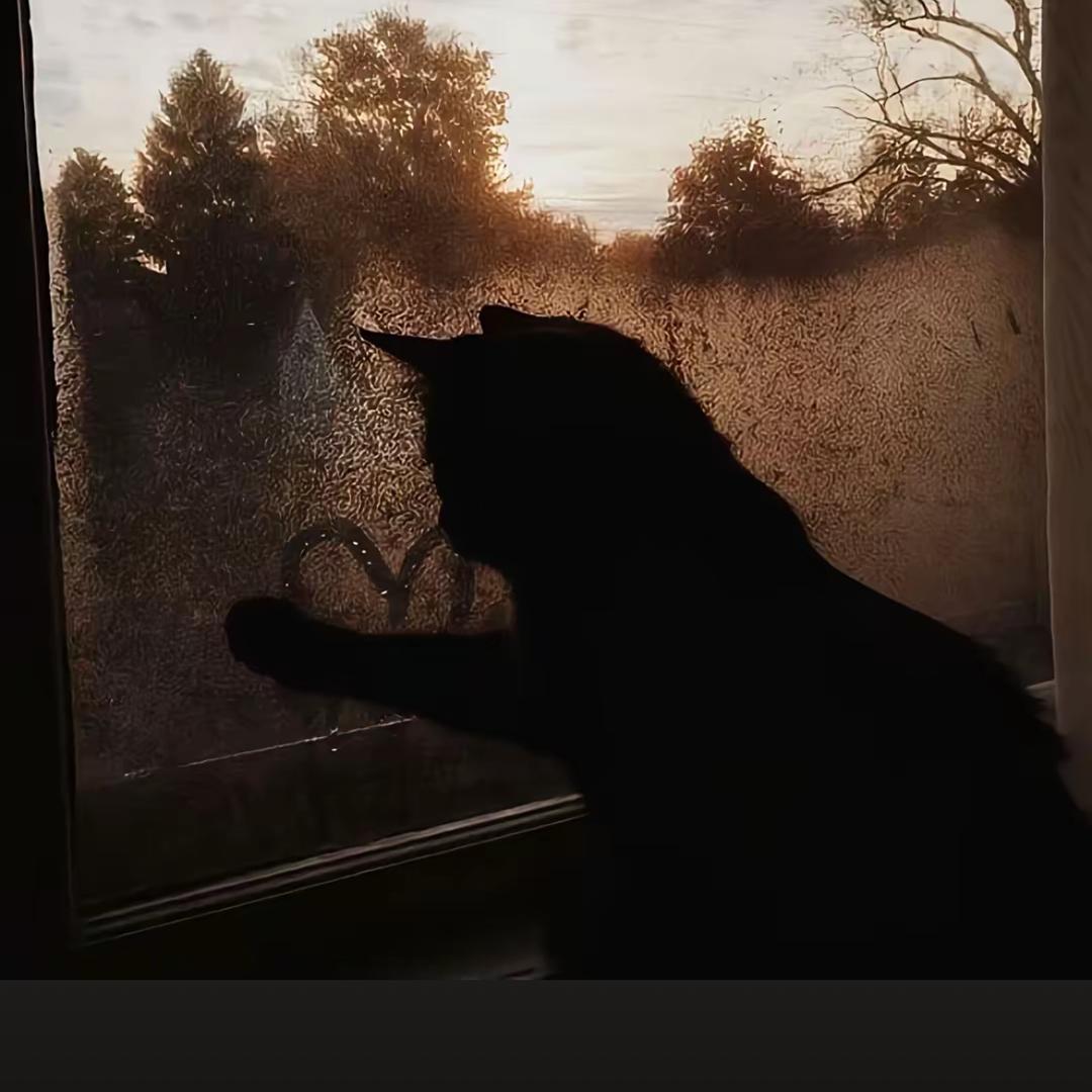 ʀᴀʏɪʟᴀ-