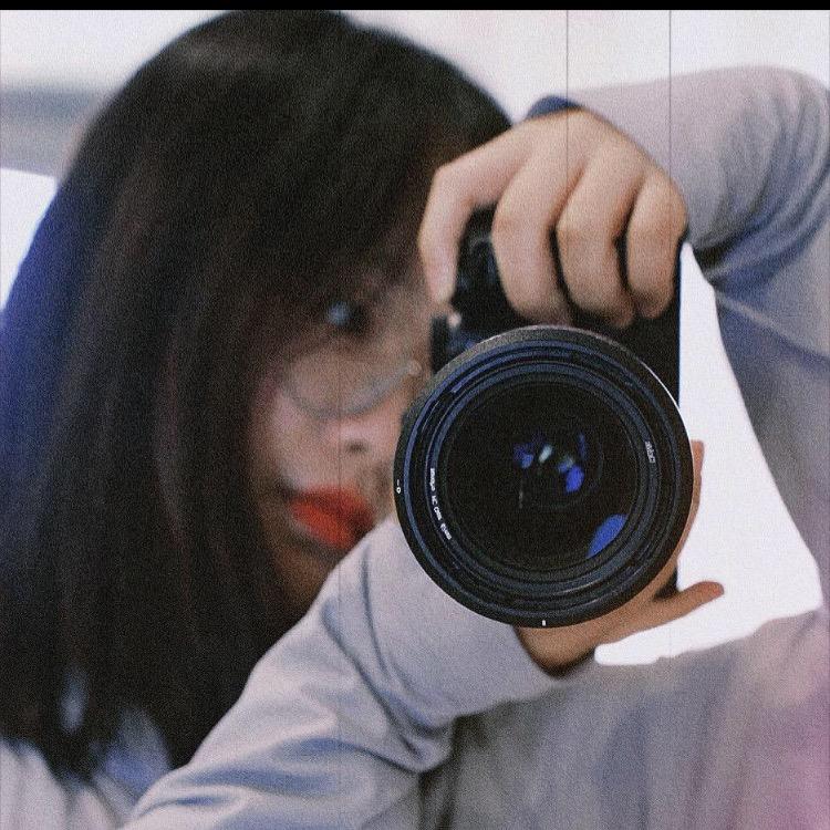 陈丽红