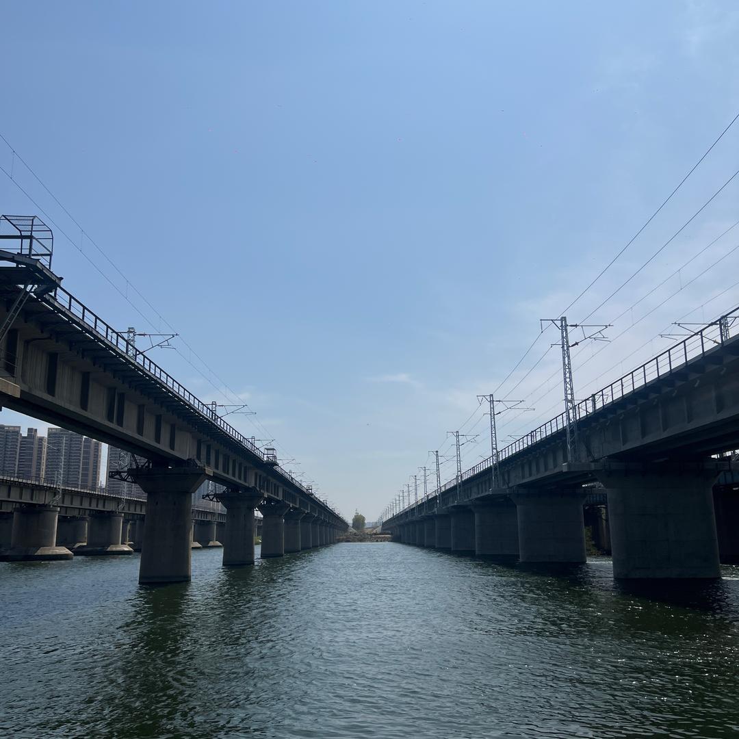 东北地瓜