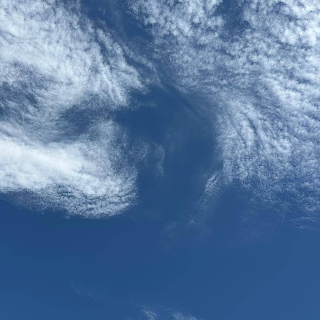 空有不二