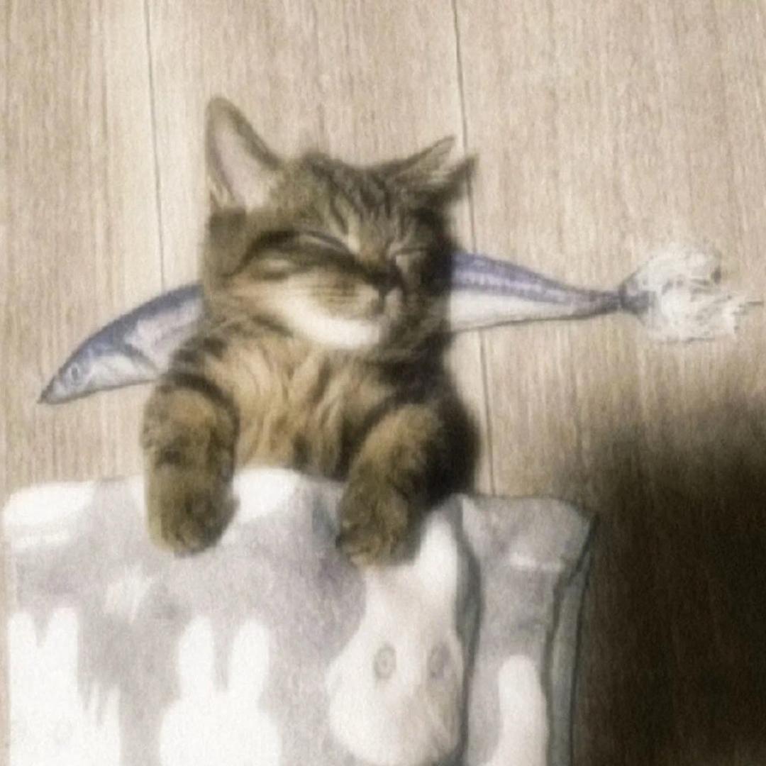 ᵒᵞo