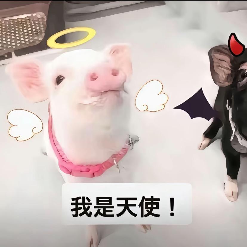 斤