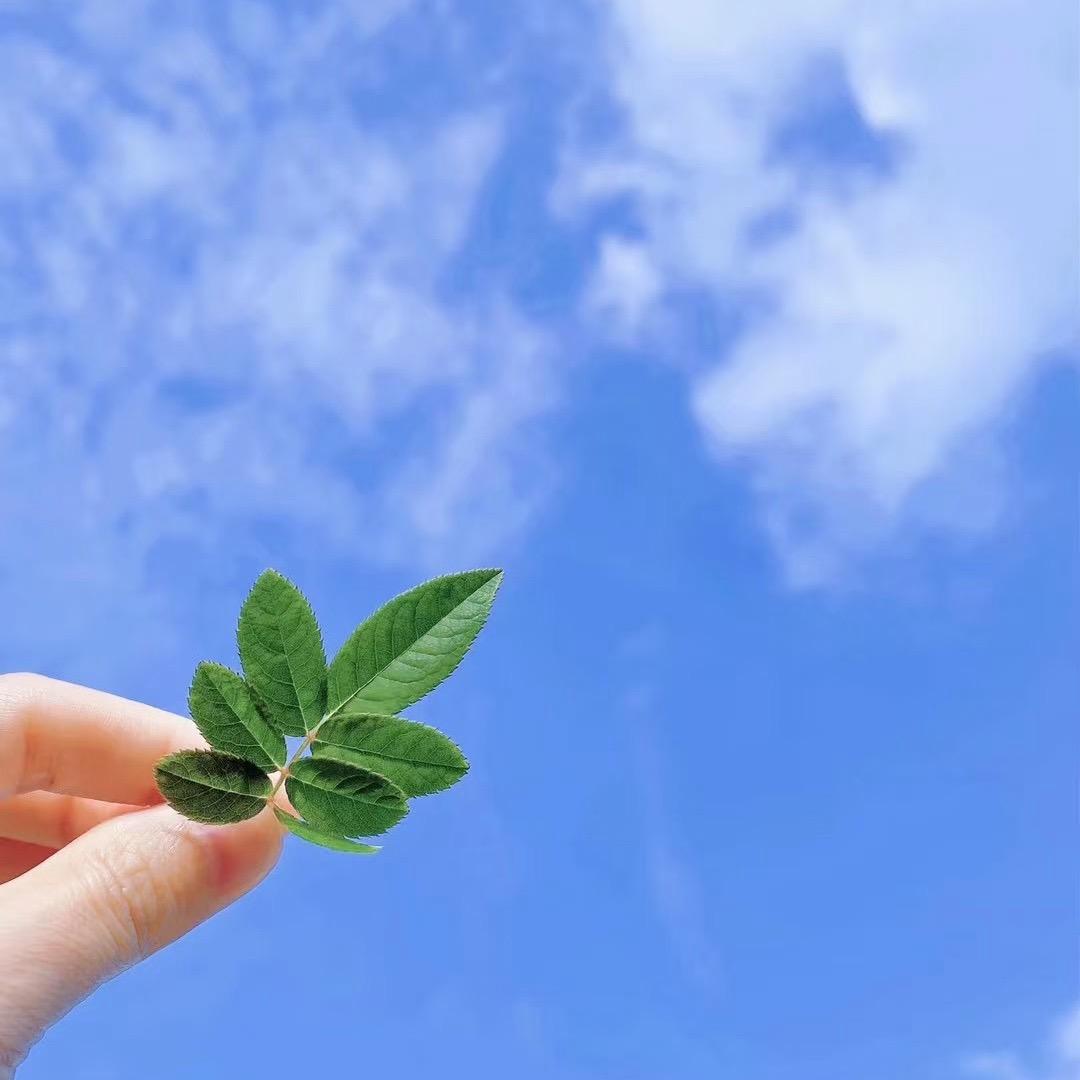战森