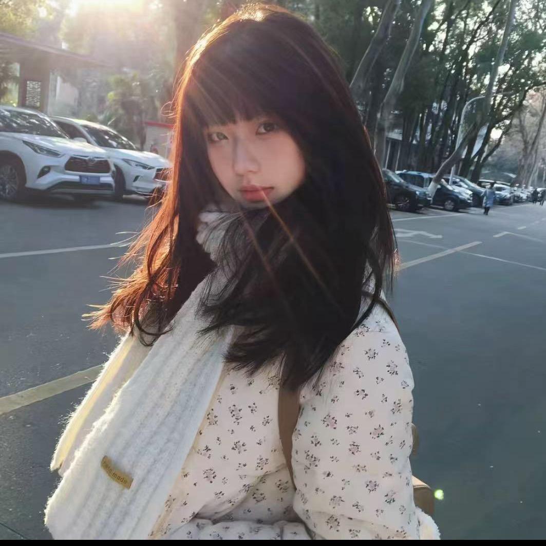 小狗开飞机