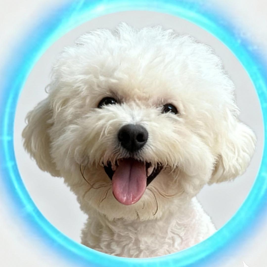 🌈@是丹丹呢？👸