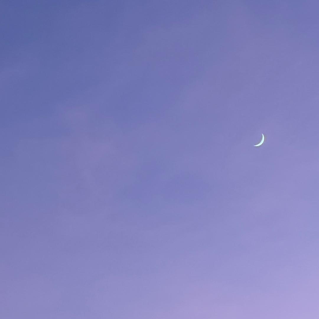 没烦恼（学习版）