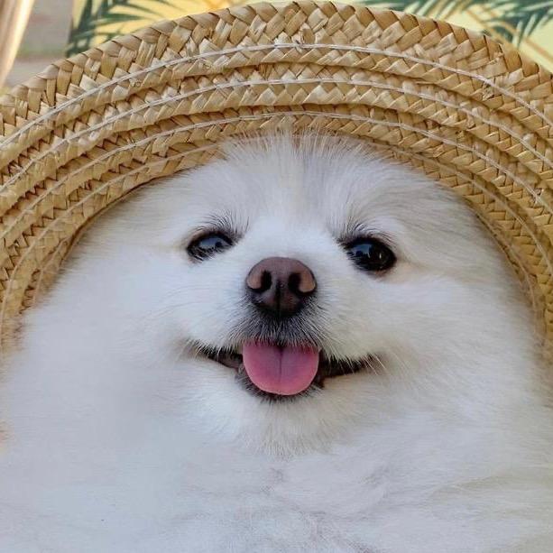 木子吖✨