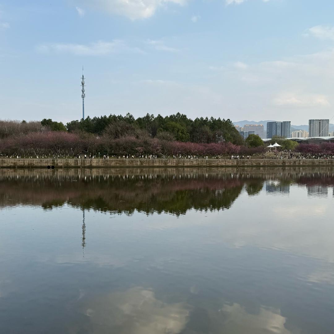 真心真意过一生