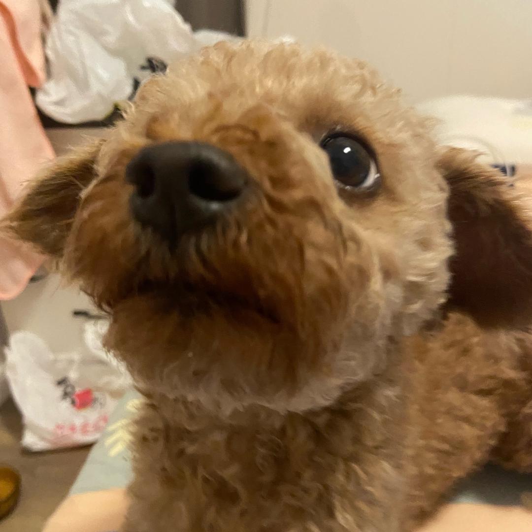 邪恶摇粒绒