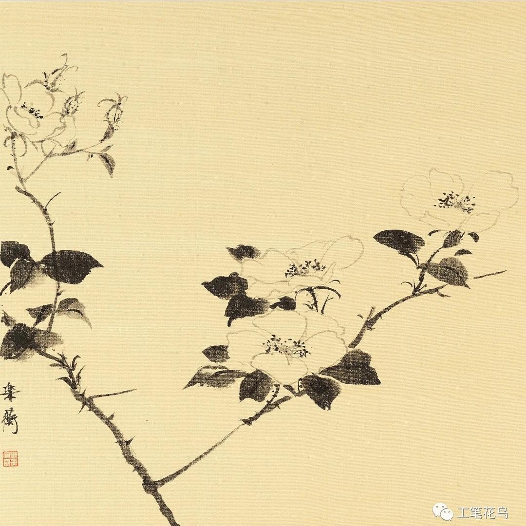 若葭