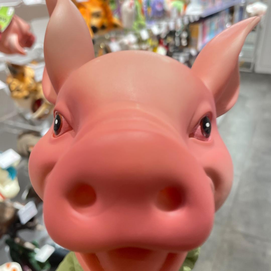 一顿要吃七碗饭！