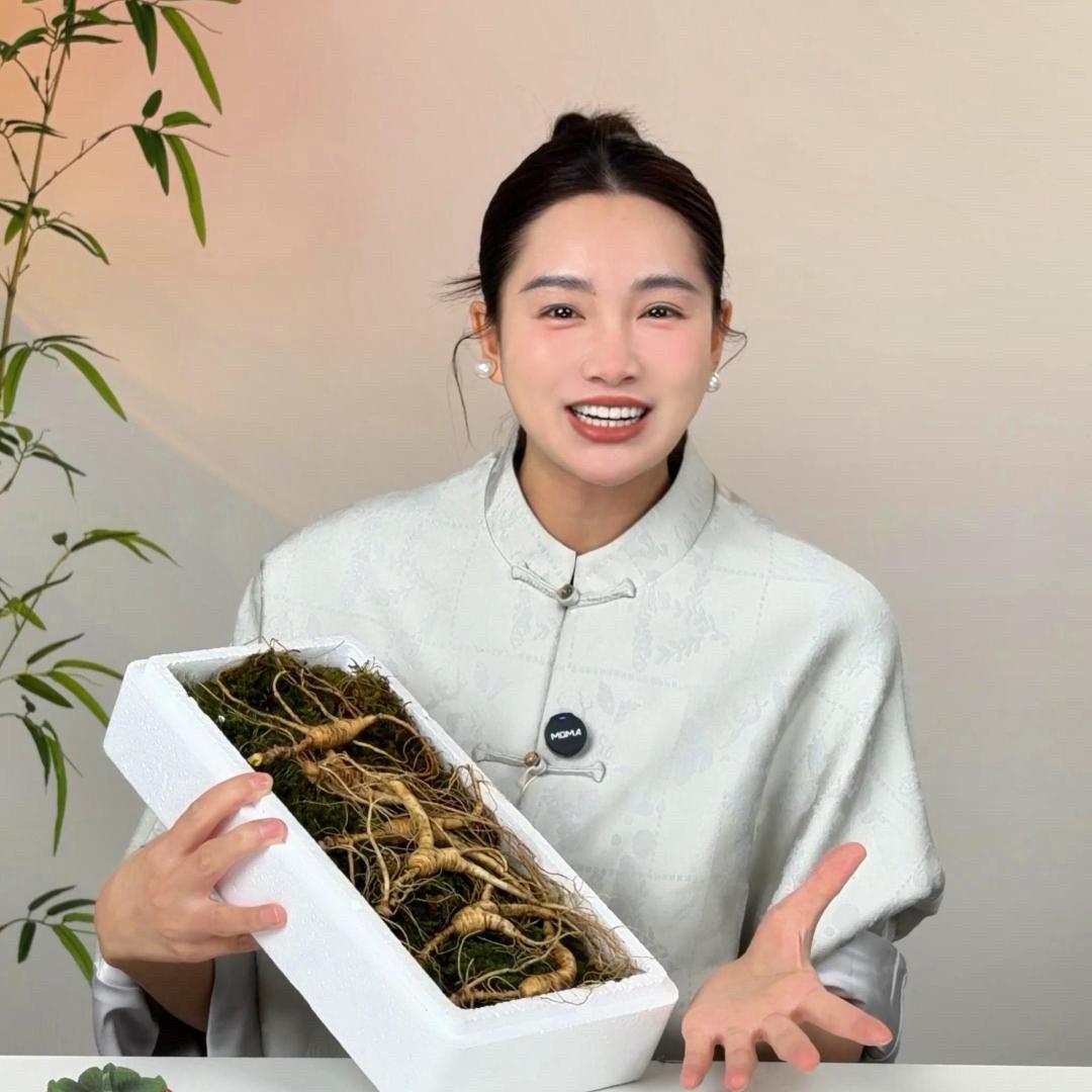 大芸（长白山林下参）