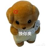 一只醒醒