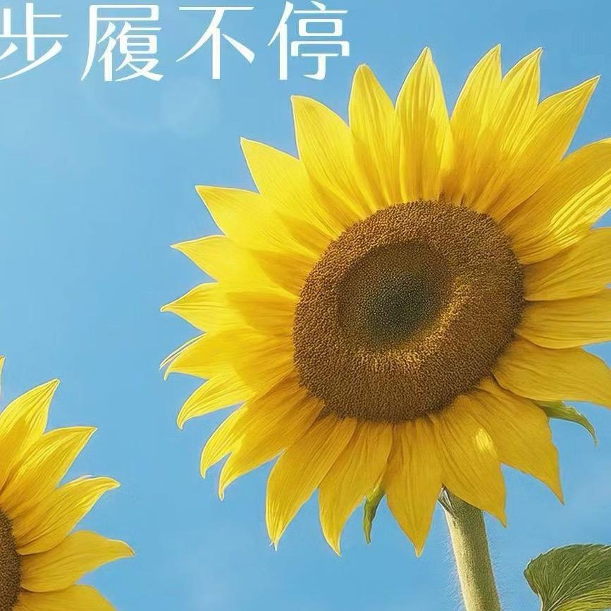 心