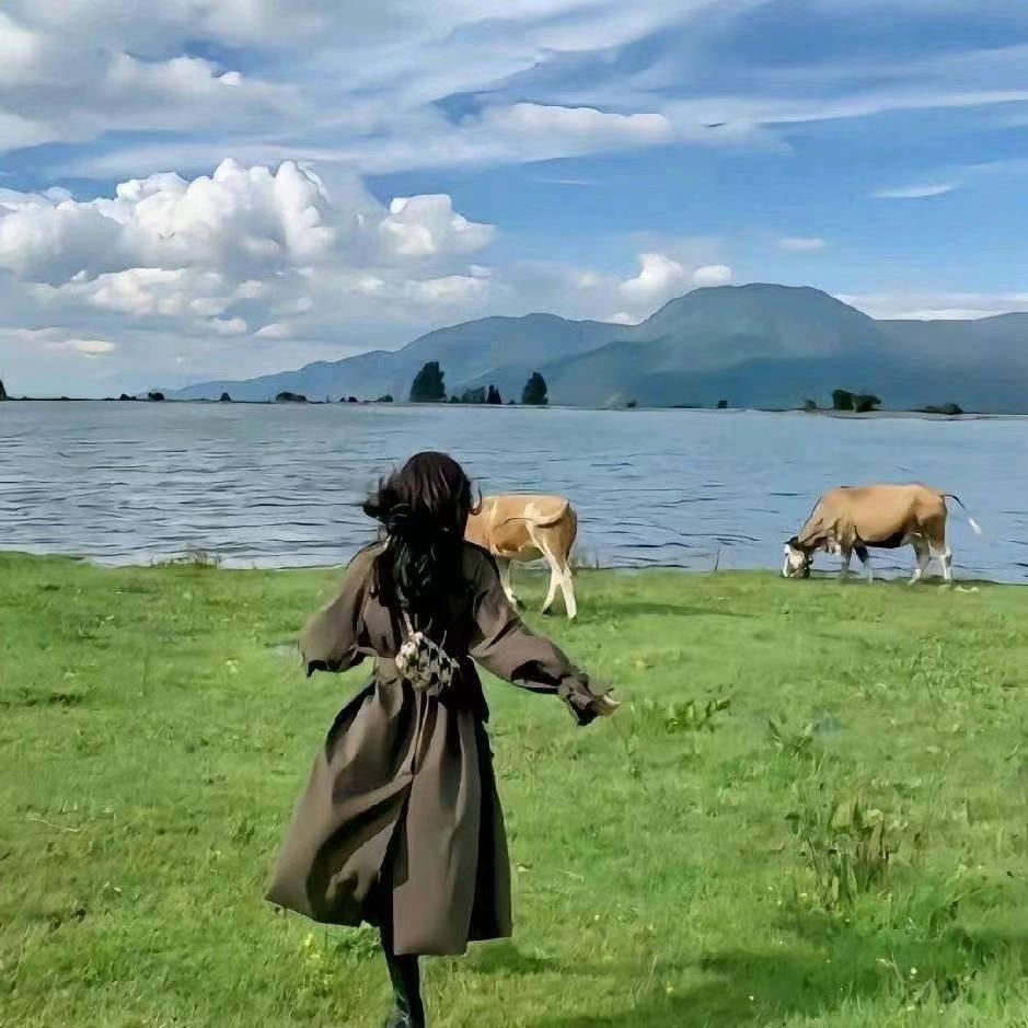 热爱生活的小刘