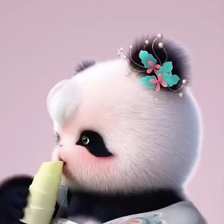 小趴菜…