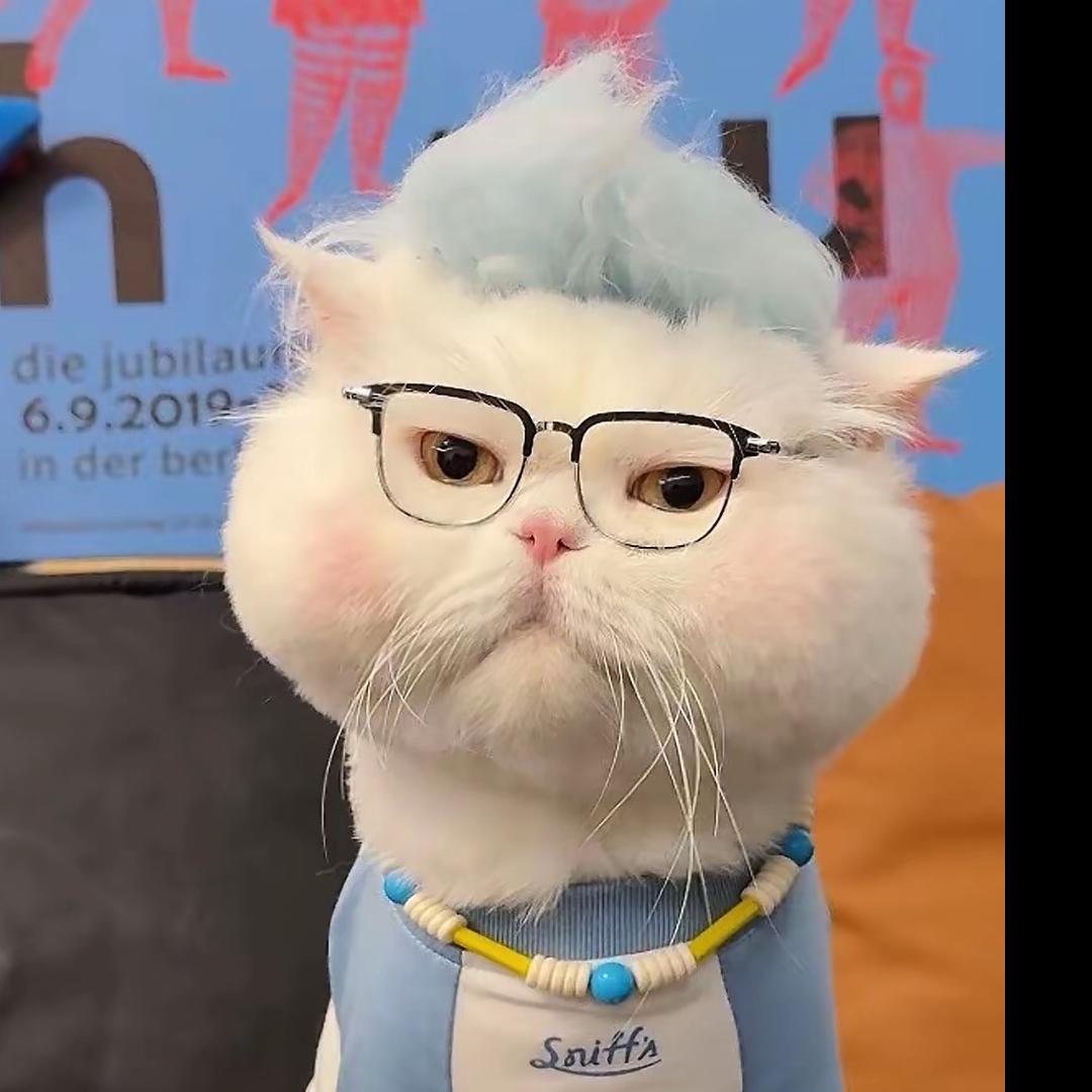 呵呵🤭