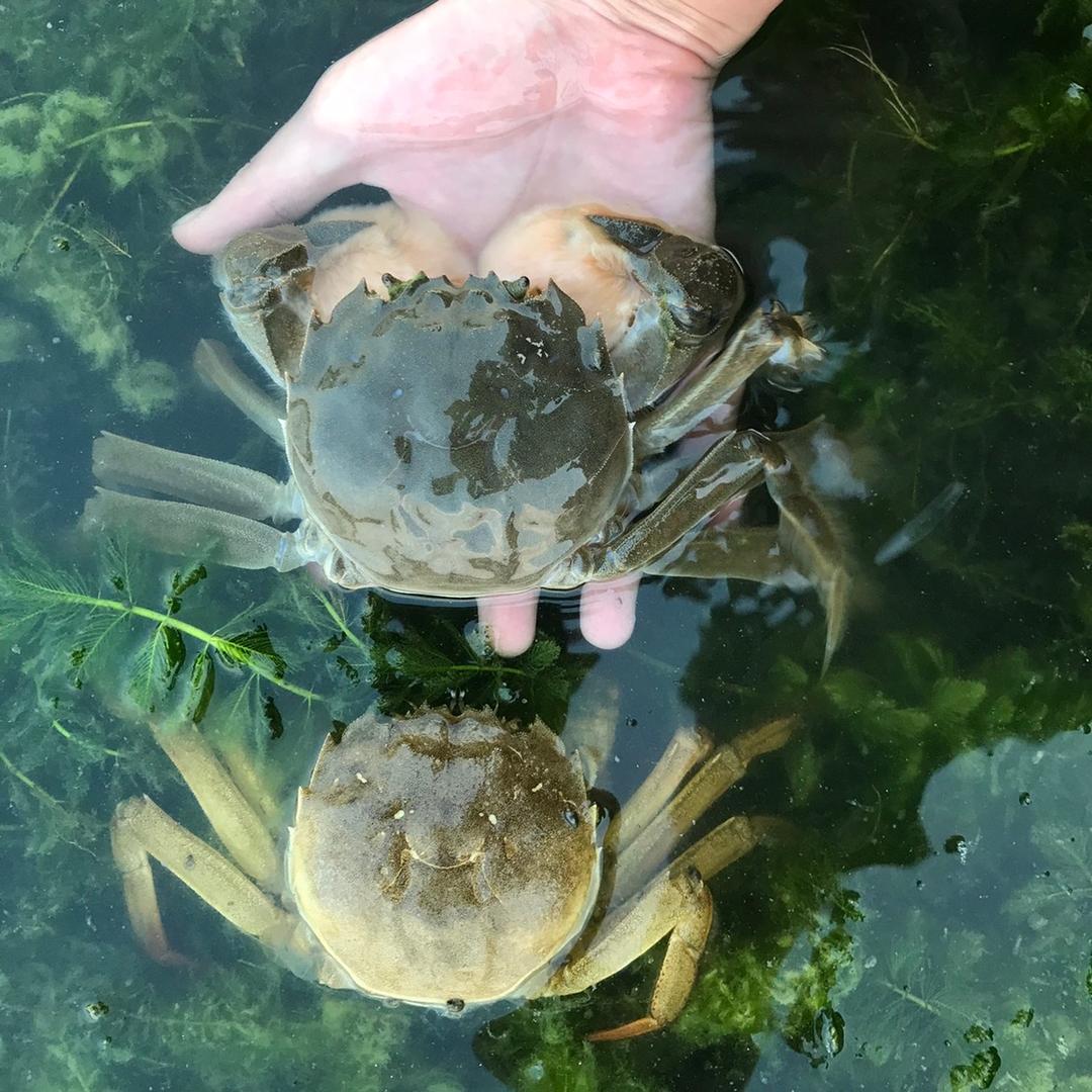 水产人