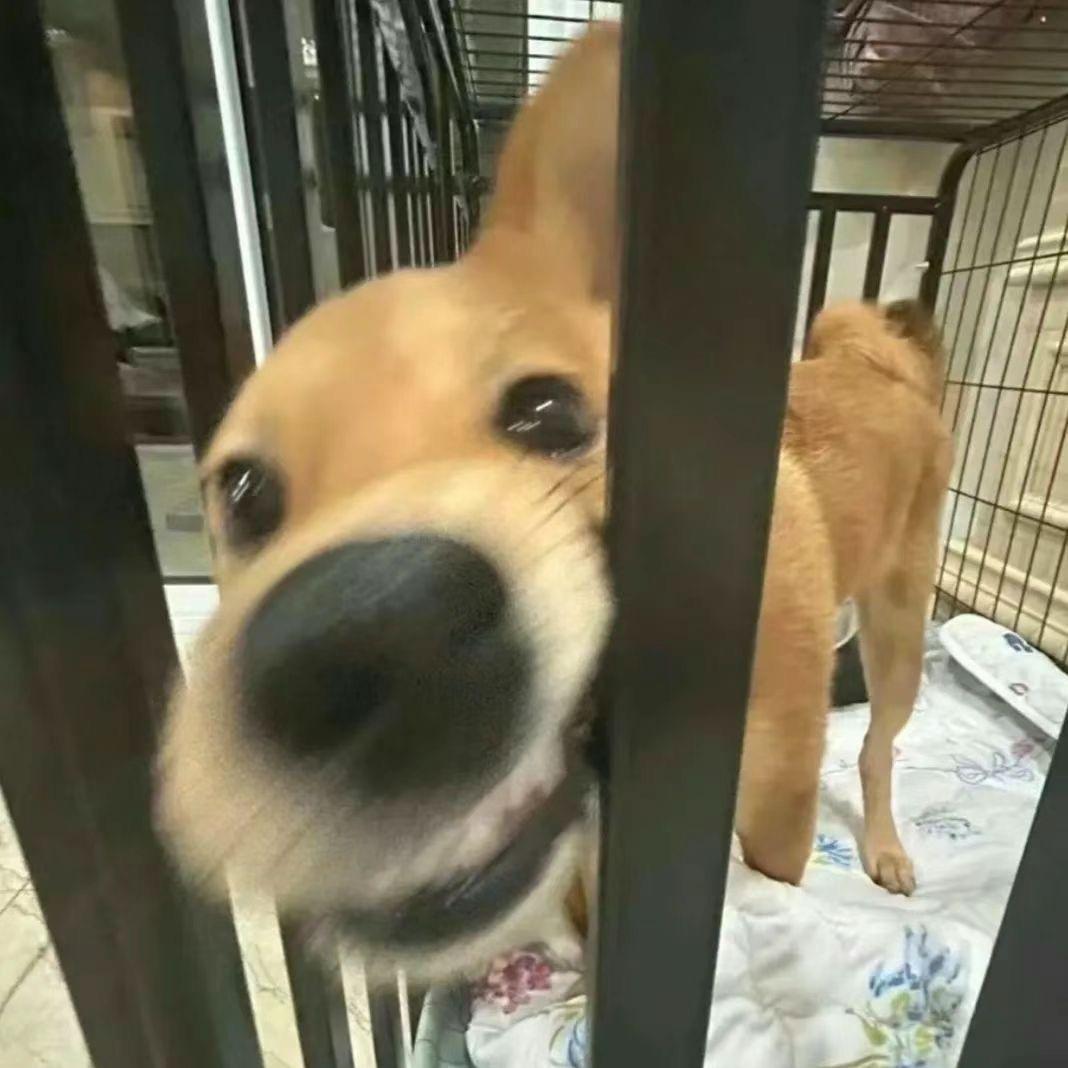 L某.