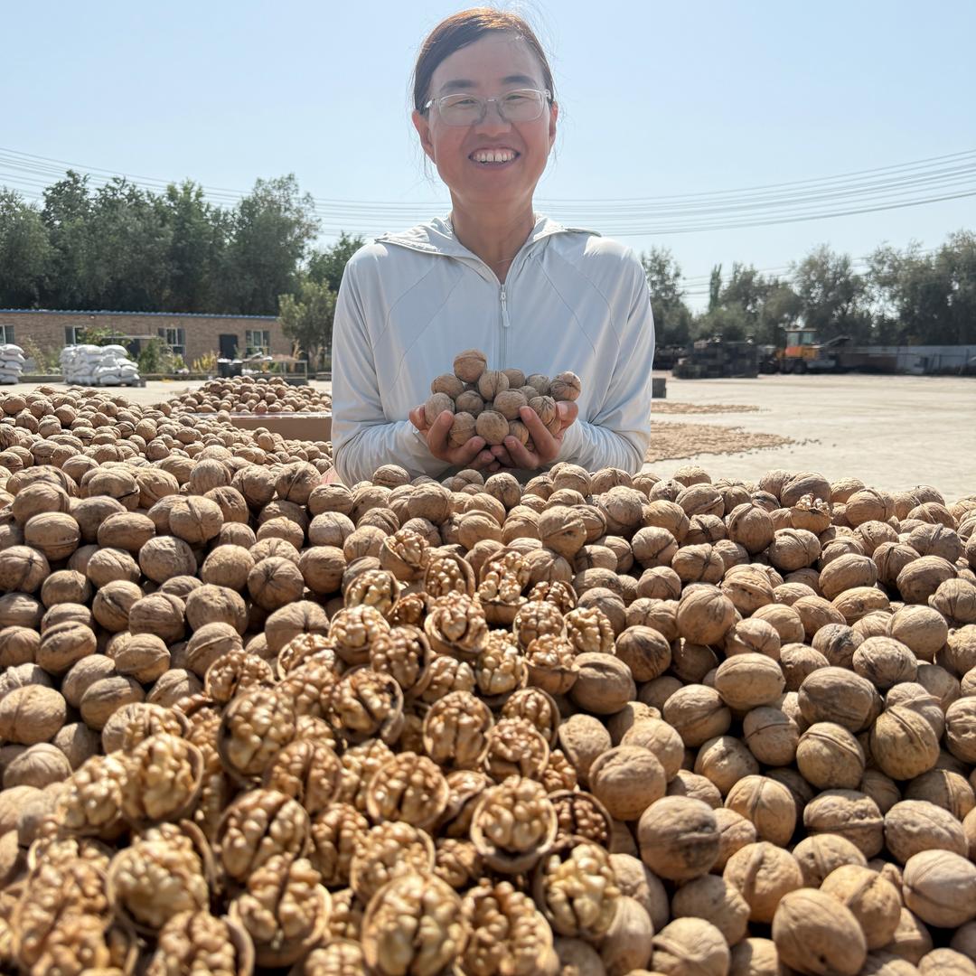 新疆李姐（阿克苏185纸皮核桃）