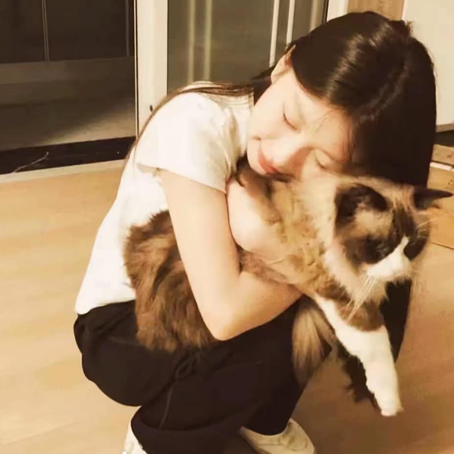 纸包鱼&