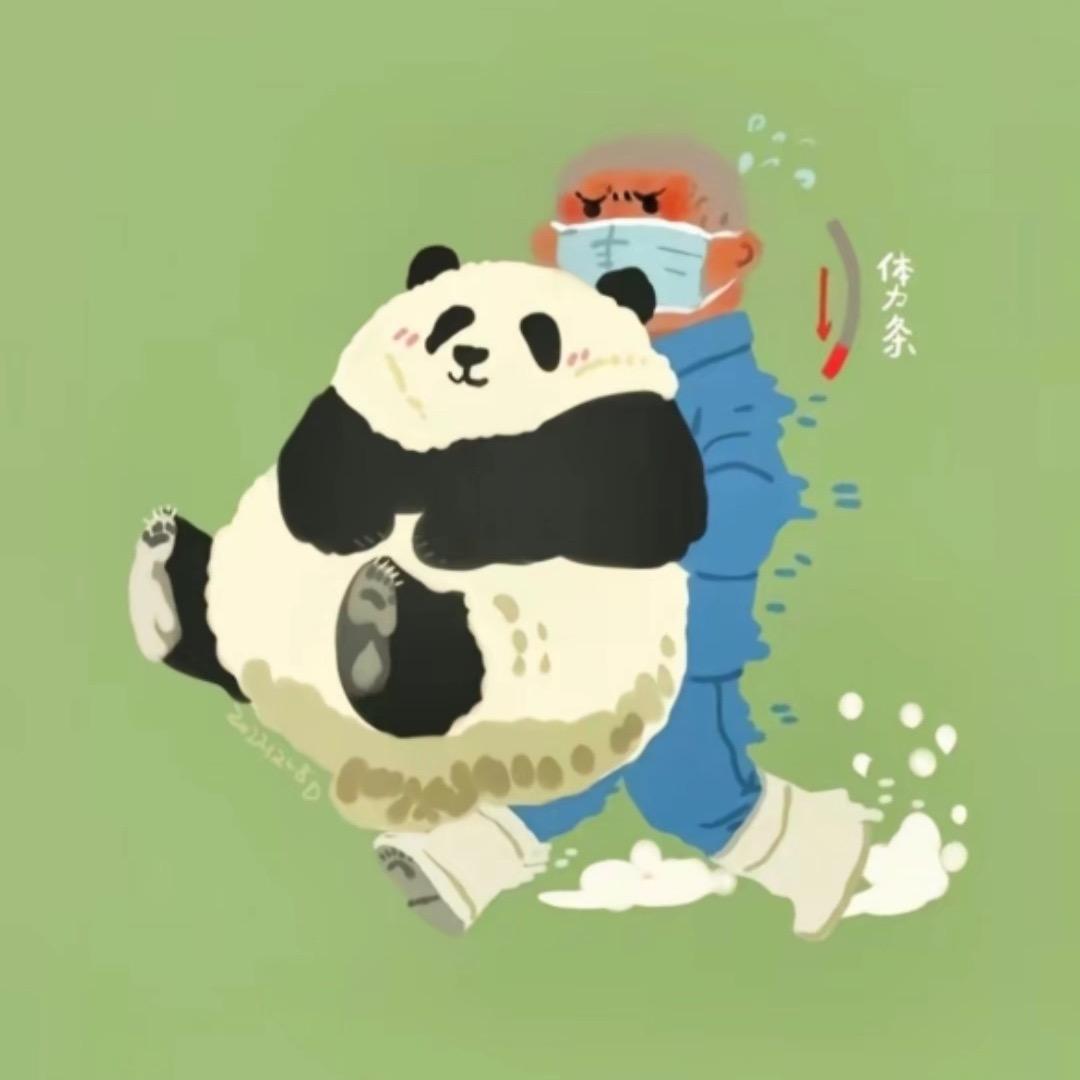 望月路全托胡老师