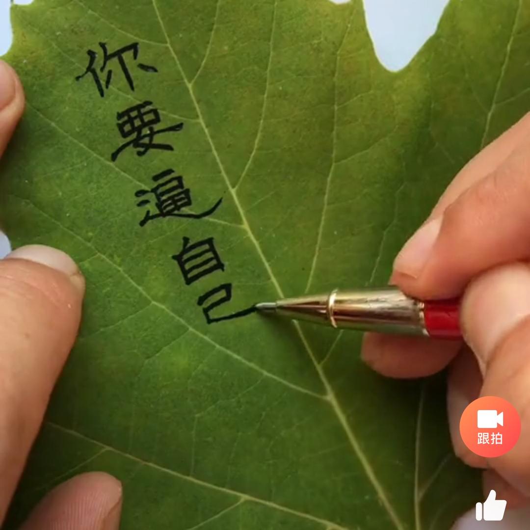 边边头像