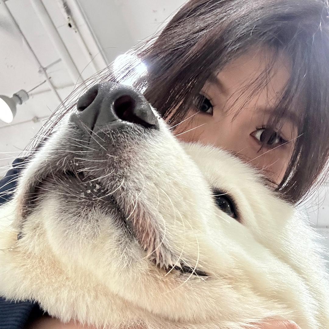 登登大王（已有闺✨）