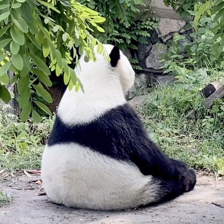 信心