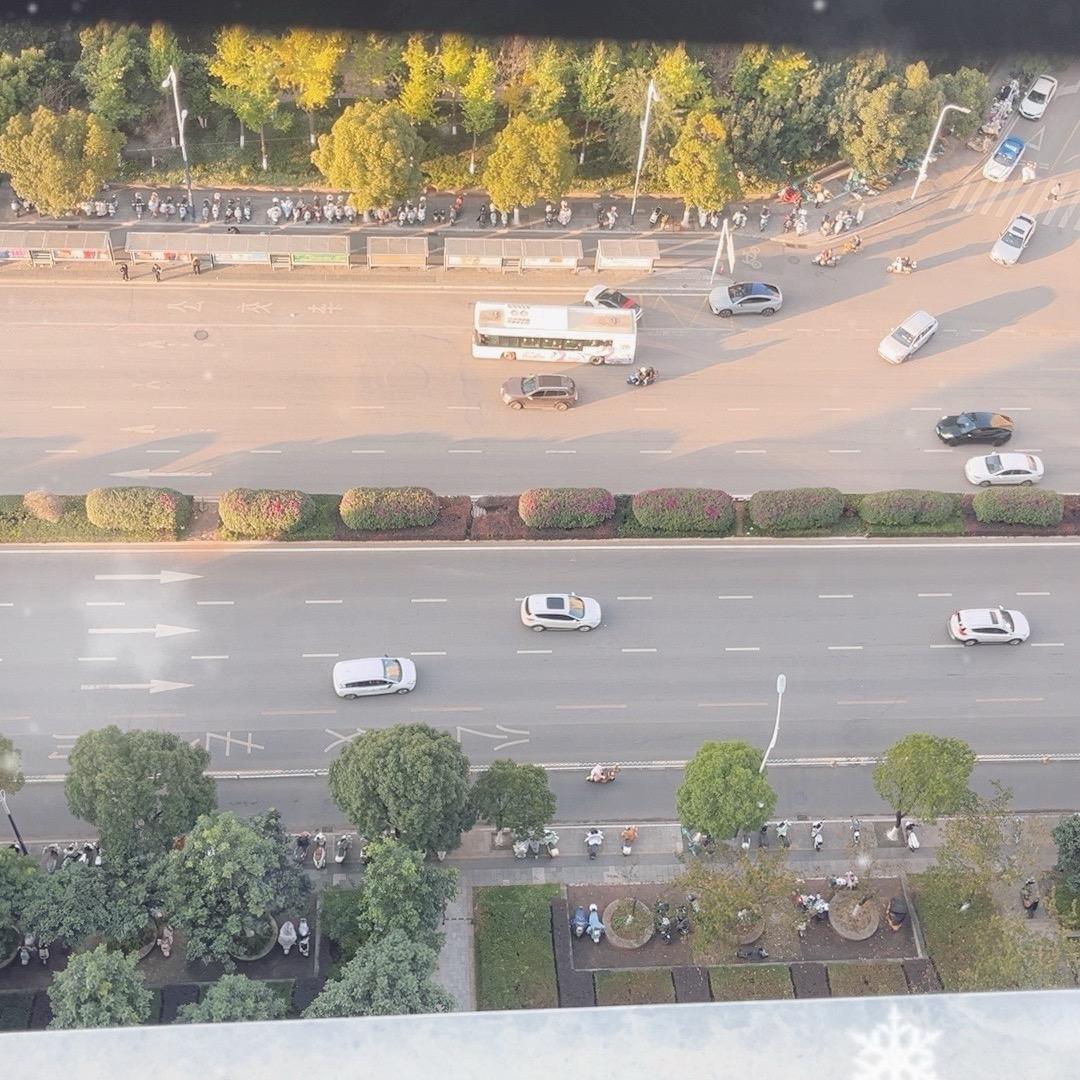 松鼠补芽美芽护芽咨询中心