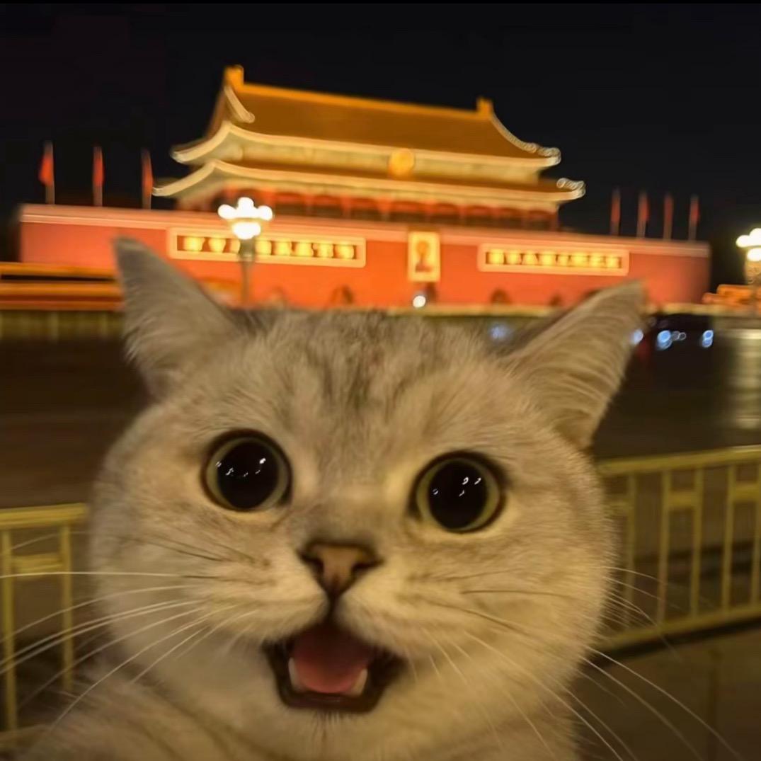 -难过睡大觉^