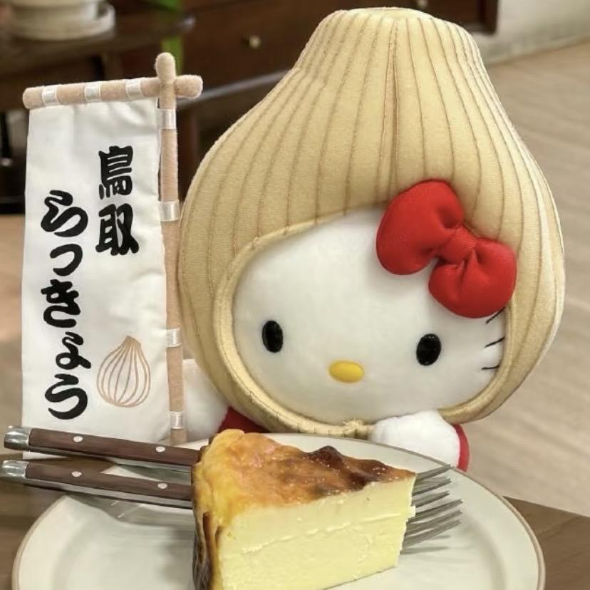 kitty好物分享