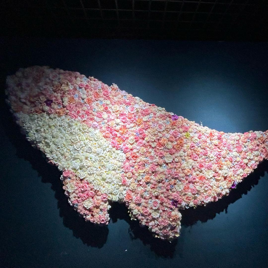 奶油小泡芙