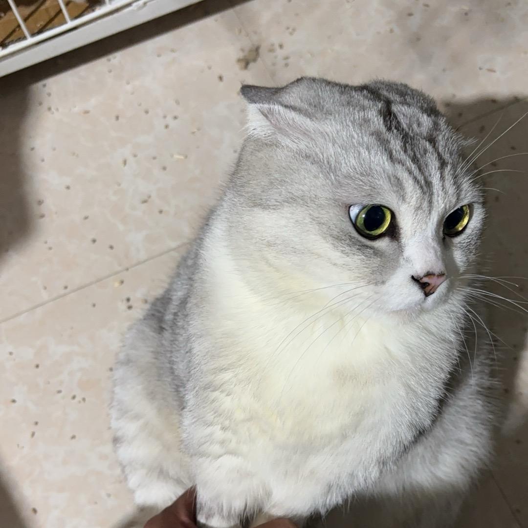 笑口常开，好彩自然来