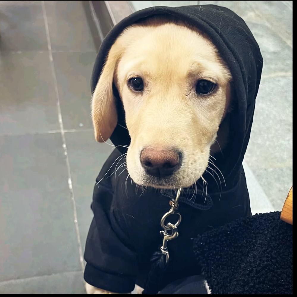 晚安、