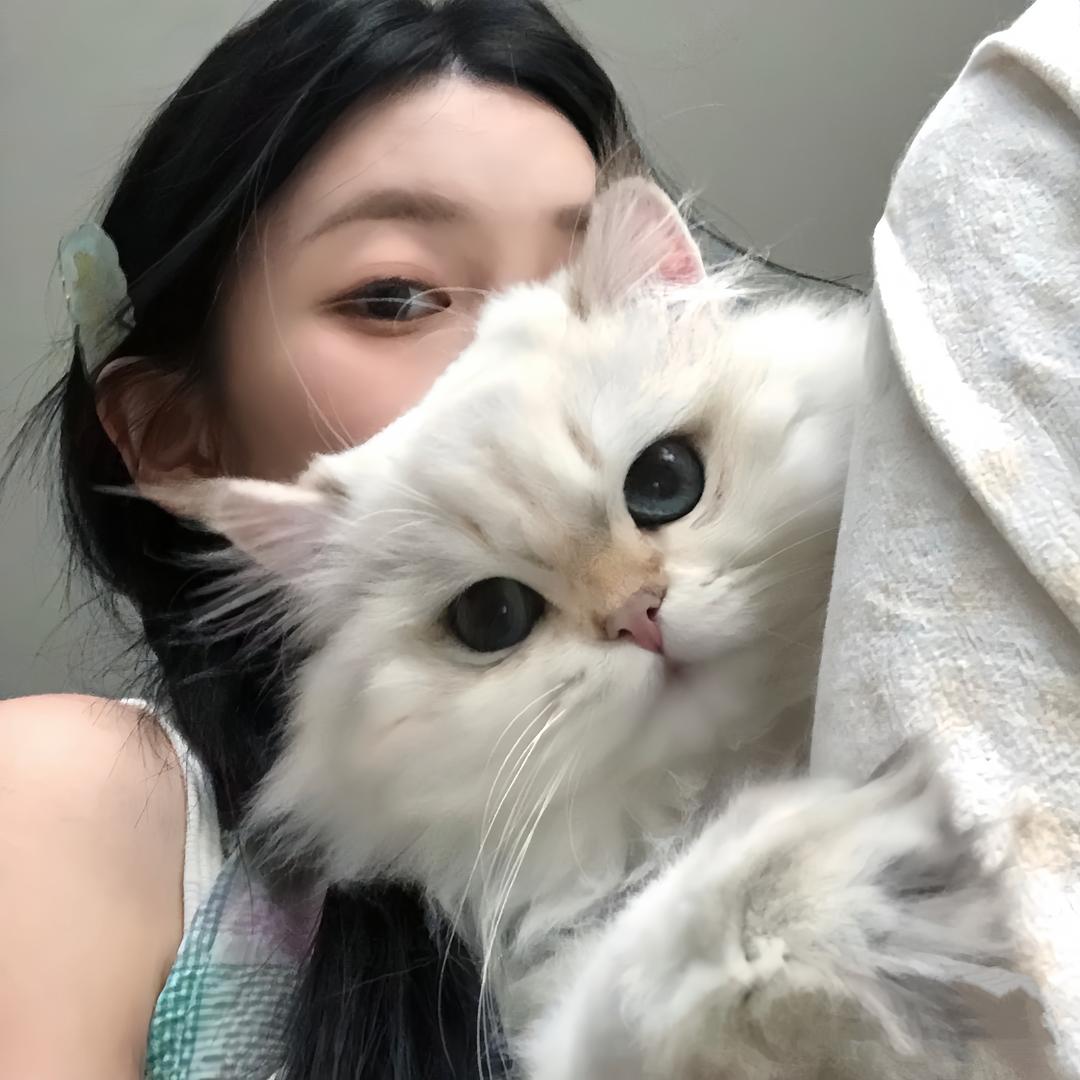 一只馒头喵🐱