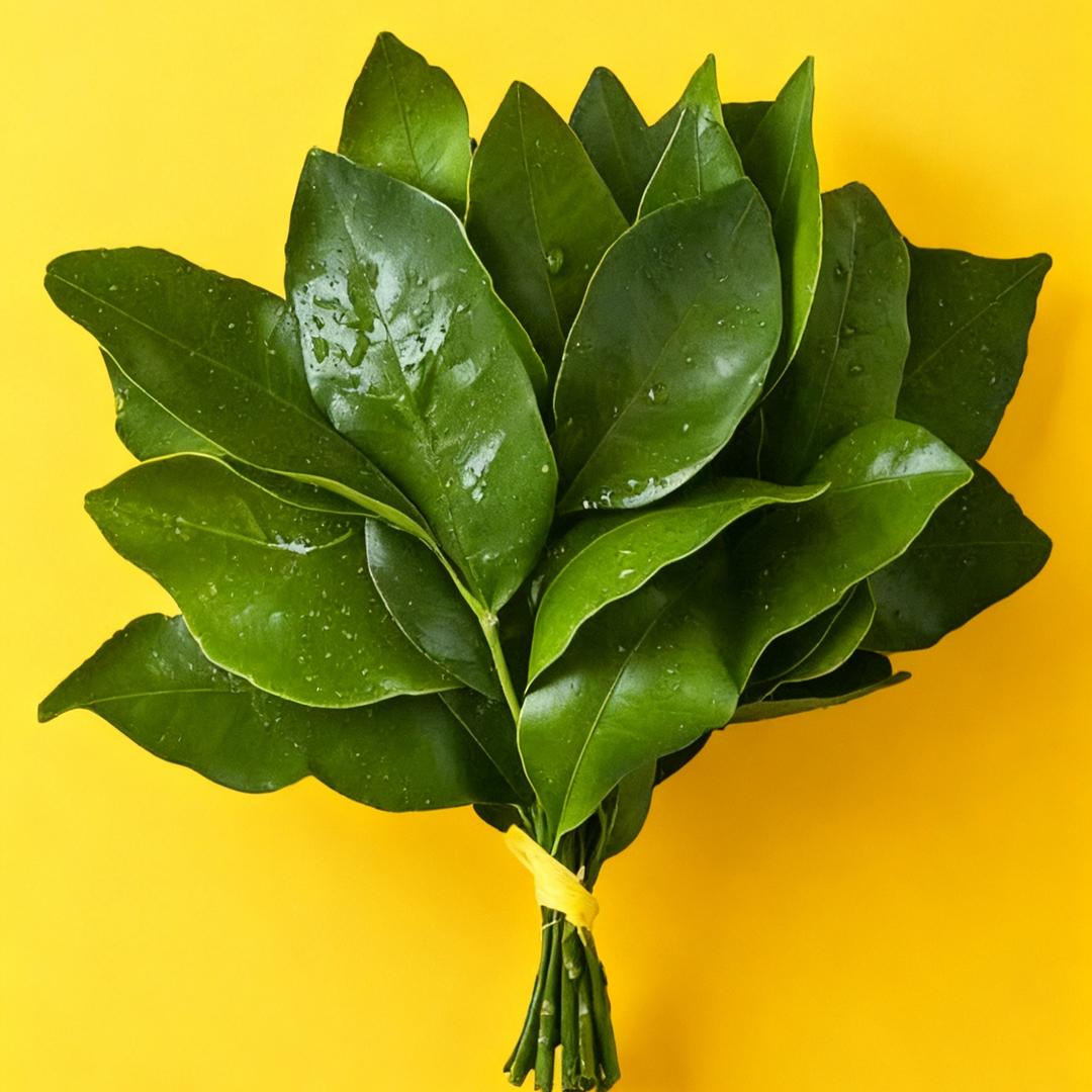 蕃茄味的🍅番茄