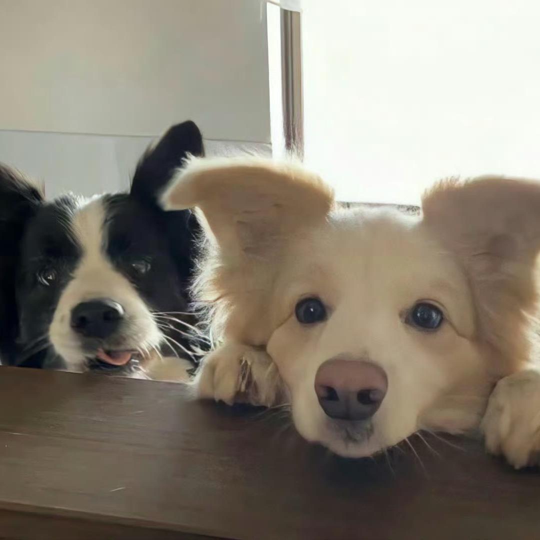 Aim（无畏契约）