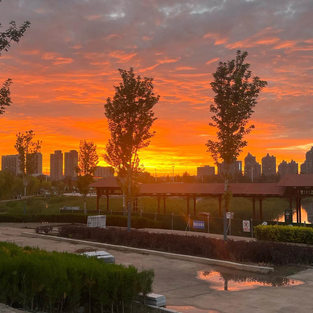 日出🌅