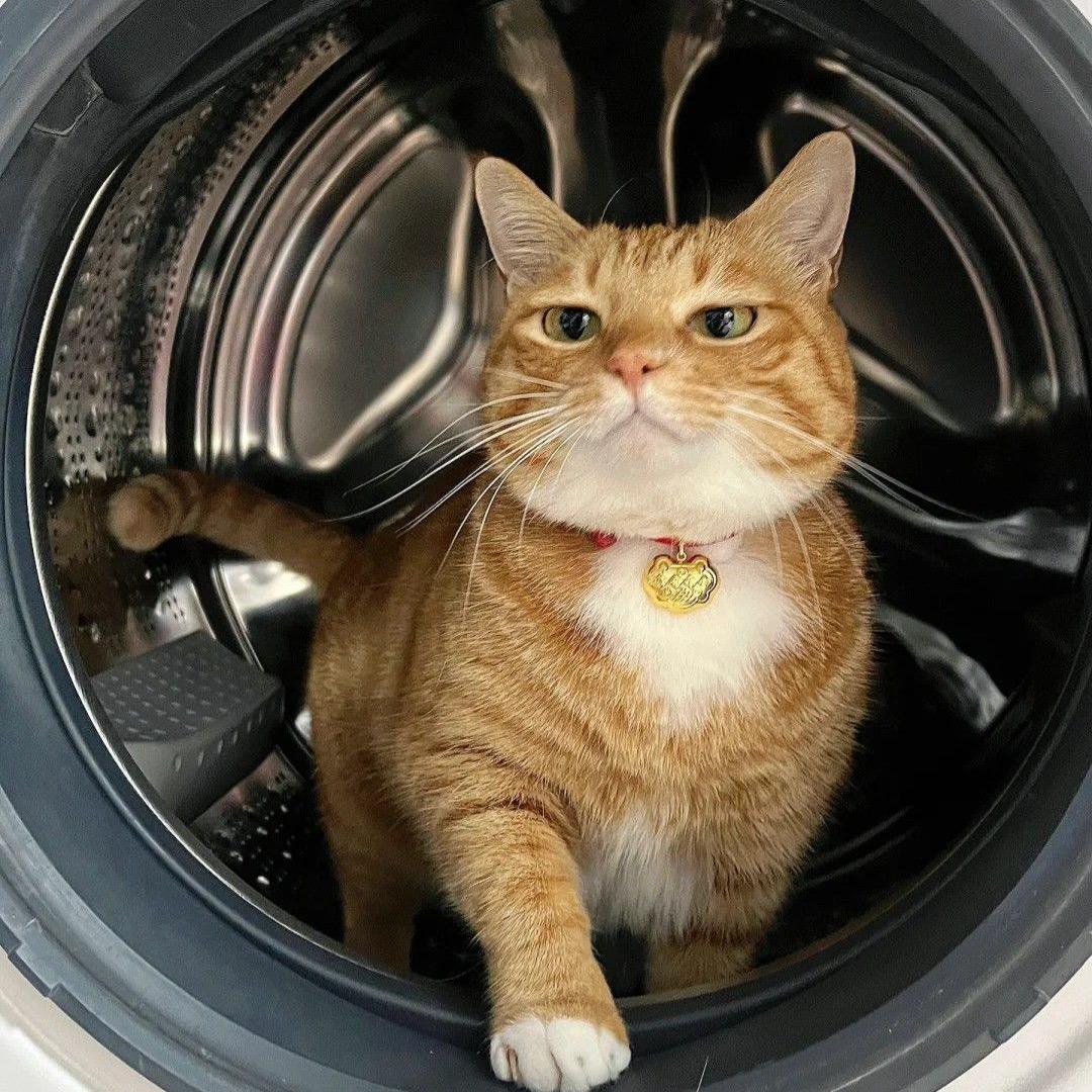 空间设计Zz（六年之约）