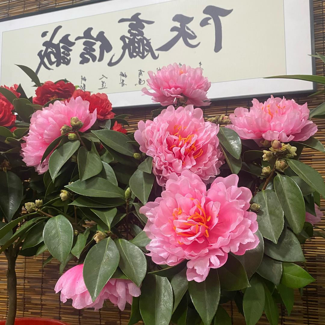 郝茶三园