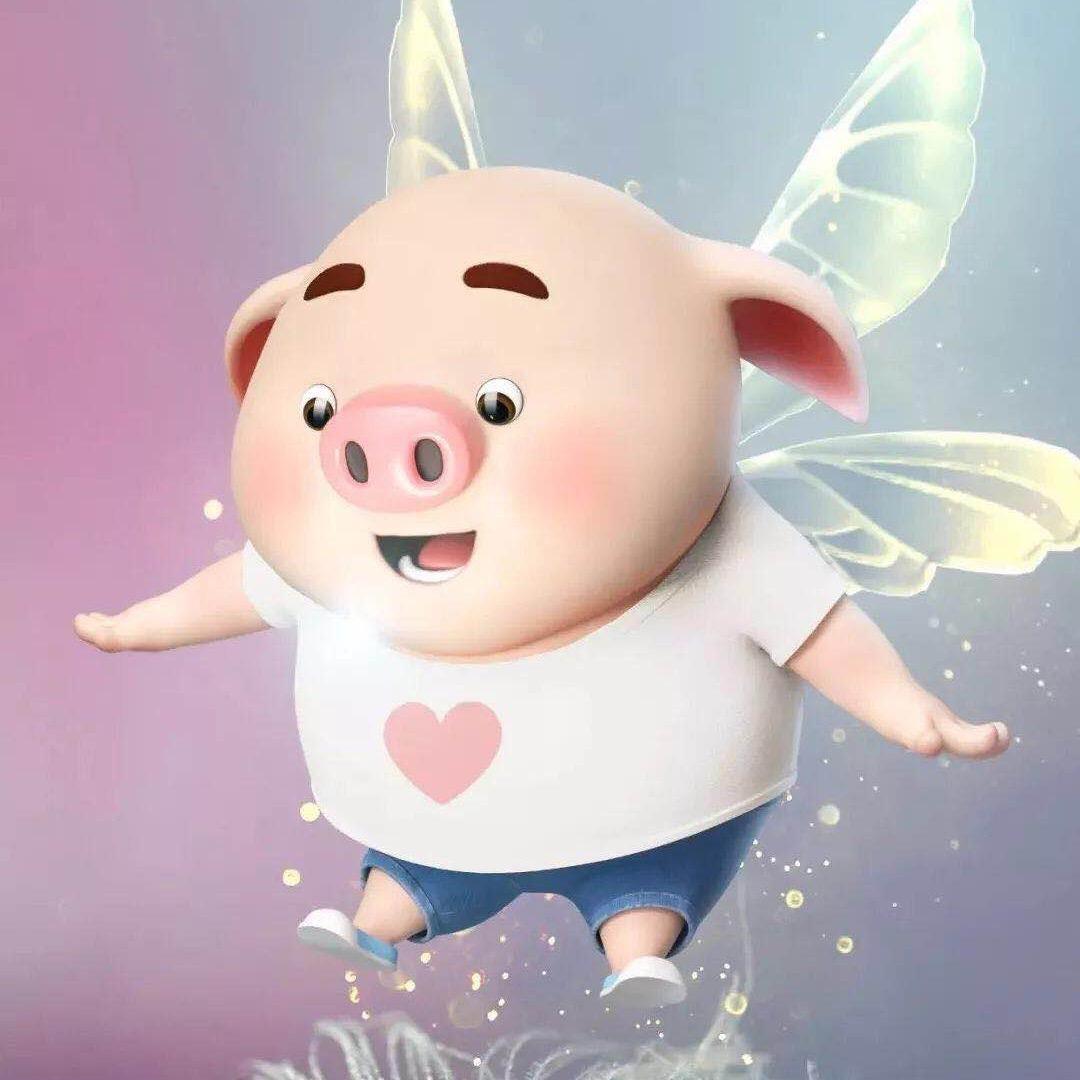 发财喵୭²⁰²⁵（封票）