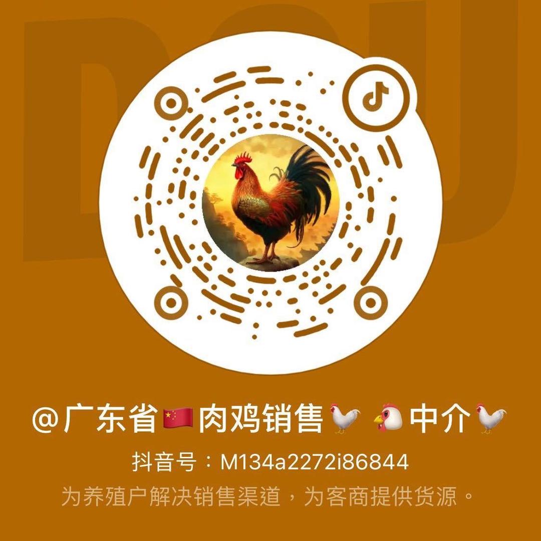 广东省🇨🇳肉鸡销售🐓 🐔中介🐓