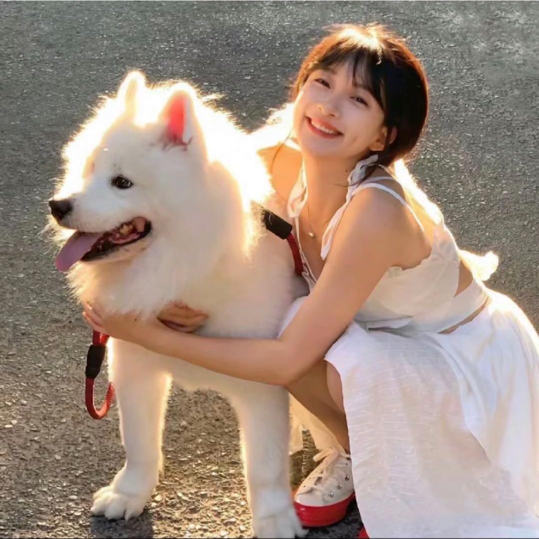 小帆不凡