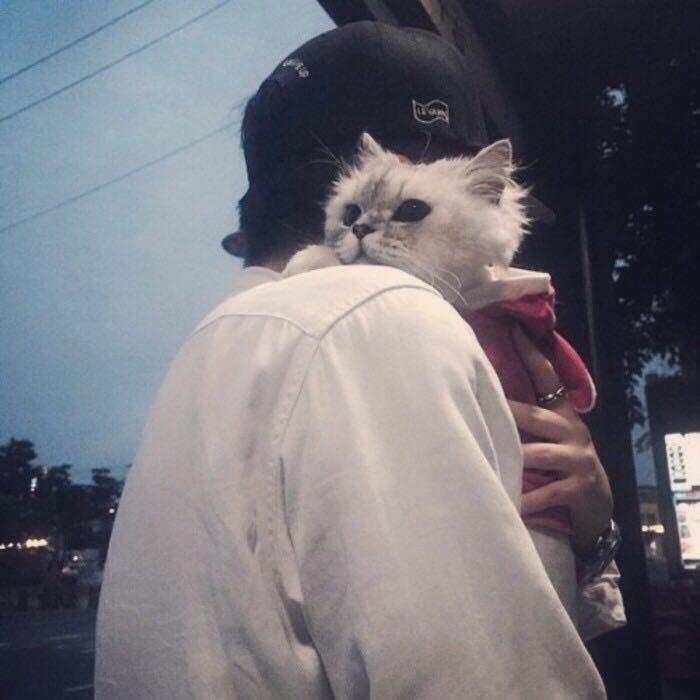 贵州董酒(青岛体验中心)芬睿少羽直播号