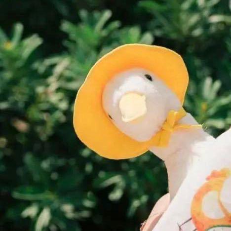 我真的兔了哇（欧气版）