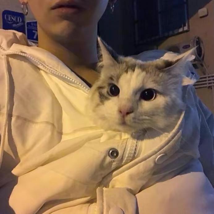 一个星河