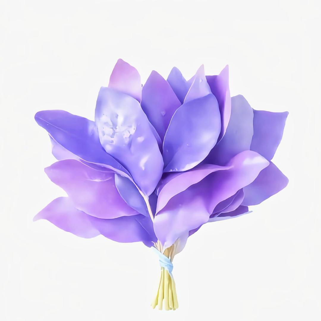 ꒰ঌʚ越越ɞ໒꒱